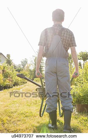 Full-length rear view of gardener pushing wheelbarrow at garden View Large Photo Image Stock Photo - Full-length rear view of gardener pushing wheelbarrow at garden. Fotosearch