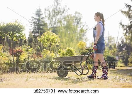 Full-length side view of female gardener pushing wheelbarrow at plant nursery View Large Photo Image Stock Image - Full-length side view of female gardener pushing wheelbarrow at plant nursery. Fotosearch