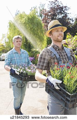 Gardeners carrying flower pots in crates at plant nursery View Large Photo Image Stock Image - Gardeners carrying flower pots in crates at plant nursery. Fotosearch