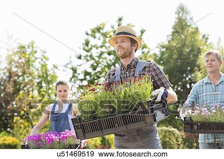 Gardeners carrying flower pots in crates at garden View Large Photo Image Stock Photo - Gardeners carrying flower pots in crates at garden. Fotosearch