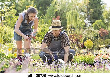 Gardeners discussing at plant nursery View Large Photo Image Stock Photography - Gardeners discussing at plant nursery. Fotosearch
