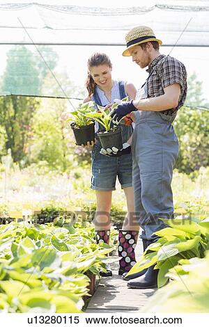 Stock Photography - Gardeners discussing over potted plants at garden. Fotosearch