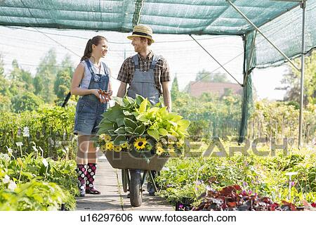 Gardeners discussing while pushing plants in wheelbarrow at greenhouse View Large Photo Image Stock Photograph - Gardeners discussing while pushing plants in wheelbarrow at greenhouse. Fotosearch