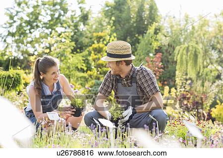 Gardeners talking while gardening at plant nursery View Large Photo Image Stock Photograph - Gardeners talking while gardening at plant nursery. Fotosearch