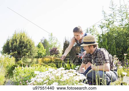 Stock Image - Gardeners working at plant nursery. Fotosearch