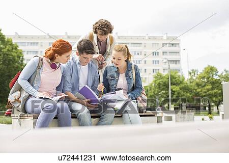 Group of friends studying together in university campus View Large Photo Image Stock Image - Group of friends studying together in university campus. Fotosearch
