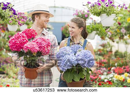 Happy gardeners looking at each other while holding flower pots at greenhouse View Large Photo Image Stock Image - Happy gardeners looking at each other while holding flower pots at greenhouse. Fotosearch