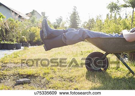 Stock Photo - Low section of man relaxing in wheelbarrow at garden. Fotosearch