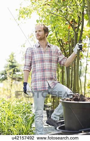 Stock Image - Male gardener looking away while standing at plant nursery. Fotosearch