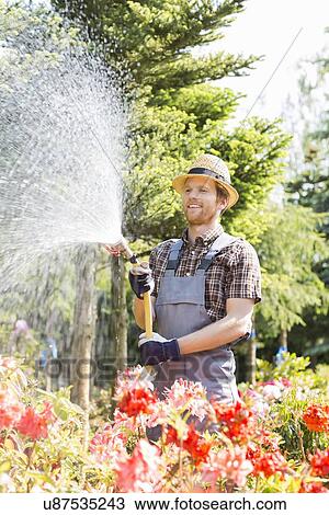 Stock Image - Male gardener watering plants at plant nursery. Fotosearch