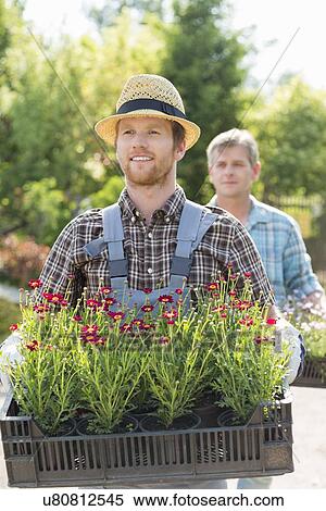 Stock Photography - Male gardeners carrying flower pots in crates at plant nursery. Fotosearch