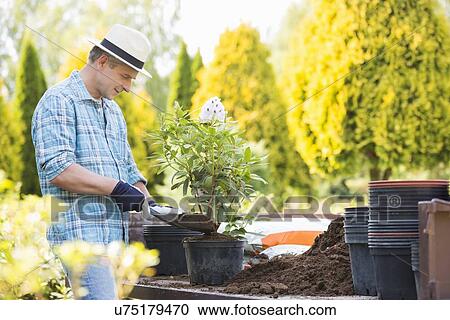 Man planting pot at garden View Large Photo Image Stock Image - Man planting pot at garden. Fotosearch