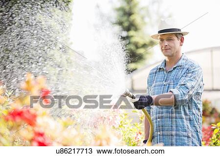Stock Image - Man watering plants outside greenhouse. Fotosearch
