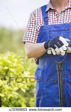Midsection of man holding spade at garden View Large Photo Image Stock Image - Midsection of man holding spade at garden. Fotosearch
