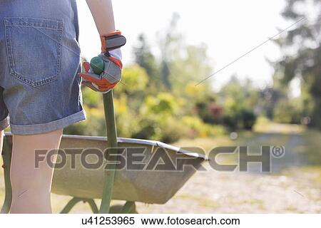 Stock Photography - Midsection rear view of female gardener pushing wheelbarrow at plant nursery. Fotosearch