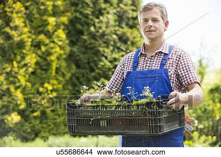 Picture - Portrait of confident gardener holding crate of potted plants. Fotosearch