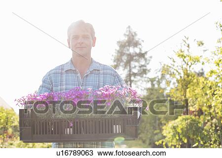 Portrait of confident man carrying crate with flower pots in garden View Large Photo Image Stock Image - Portrait of confident man carrying crate with flower pots in garden. Fotosearch