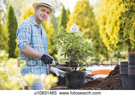 Portrait of confident man planting pot at garden View Large Photo Image Stock Photography - Portrait of confident man planting pot at garden. Fotosearch