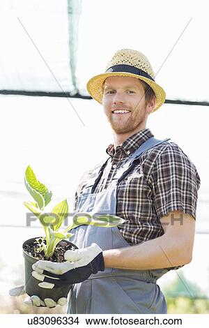 Portrait of happy gardener holding potted plant at greenhouse View Large Photo Image Picture - Portrait of happy gardener holding potted plant at greenhouse. Fotosearch