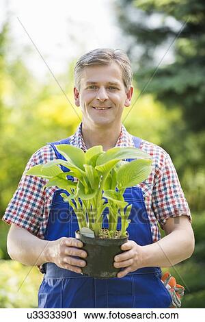 Stock Image - Portrait of happy gardener holding potted plant at nursery. Fotosearch