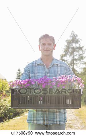 Portrait of man carrying crate with flower pots in garden View Large Photo Image Stock Image - Portrait of man carrying crate with flower pots in garden. Fotosearch