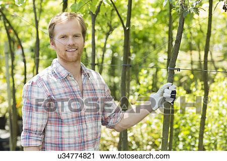 Portrait of smiling gardener standing at plant nursery View Large Photo Image Stock Image - Portrait of smiling gardener standing at plant nursery. Fotosearch