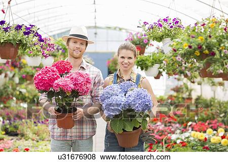 Portrait of smiling gardeners holding flower pots at greenhouse View Large Photo Image Stock Photo - Portrait of smiling gardeners holding flower pots at greenhouse. Fotosearch