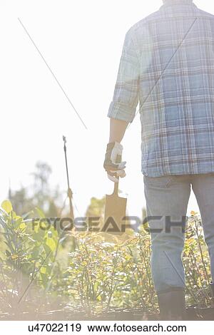 Stock Photo - Rear view of gardener holding shovel at plant nursery. Fotosearch