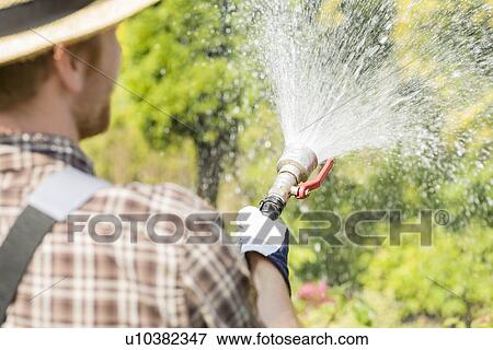Stock Photo - Rear view of gardener watering plants at garden. Fotosearch