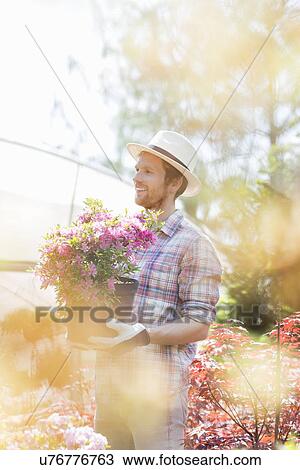 Smiling gardener looking away while holding flower pot outside greenhouse View Large Photo Image Stock Image - Smiling gardener looking away while holding flower pot outside greenhouse. Fotosearch
