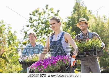 Stock Image - Smiling gardeners carrying crates with flower pots at plant nursery. Fotosearch