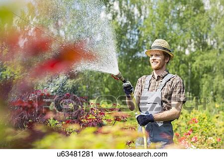 Smiling man watering plants at garden View Large Photo Image Stock Image - Smiling man watering plants at garden. Fotosearch