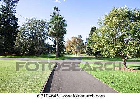 Trees at botanical garden, Sydney, Australia View Large Photo Image Stock Photography - Trees at botanical garden, Sydney, Australia. Fotosearch