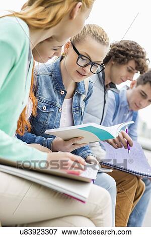 University female student with friends studying together in park View Large Photo Image Stock Photo - University female student with friends studying together in park. Fotosearch