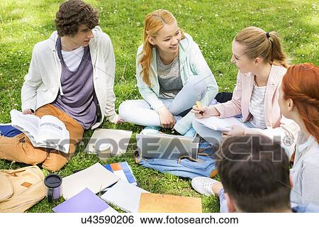 Stock Photograph - University friends studying together on grass. Fotosearch
