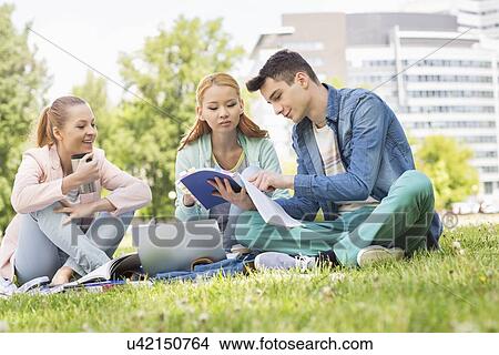 University students studying on campus View Large Photo Image Picture - University students studying on campus. Fotosearch
