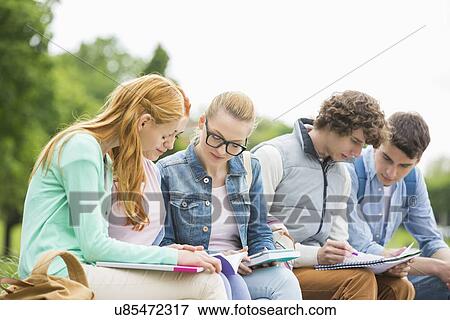 University students studying together in park View Large Photo Image Stock Photo - University students studying together in park. Fotosearch