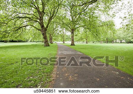 Stock Image - View of walkway and trees in park. Fotosearch