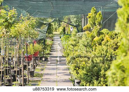 Stock Photo - Walkway at plant nursery. Fotosearch