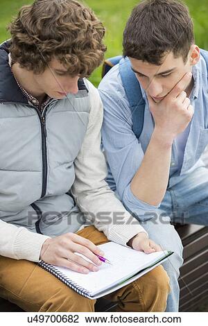 Young male college friends studying together in park View Large Photo Image Stock Image - Young male college friends studying together in park. Fotosearch