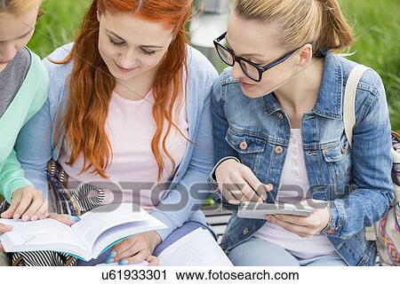 Young women studying together in park View Large Photo Image Stock Image - Young women studying together in park. Fotosearch