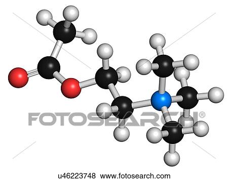 Acetylchloline neurotransmitter molecule View Large Illustration Stock Illustration - Acetylchloline neurotransmitter molecule. Fotosearch