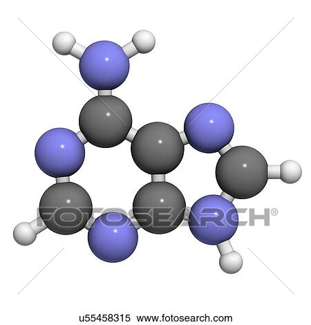 Adenine purine nucleobase molecule View Large Illustration Stock Illustration - Adenine purine nucleobase molecule. Fotosearch