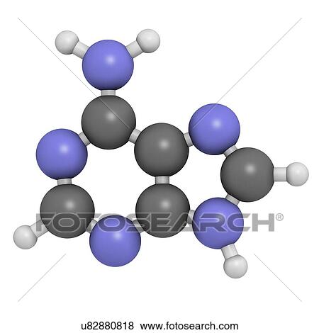 Stock Illustration - Adenine purine nucleobase molecule. Fotosearch