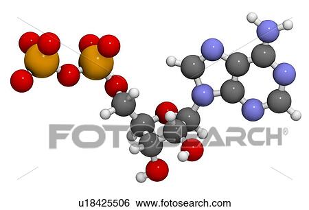 Stock Illustration - Adenosine diphosphate molecule. Fotosearch