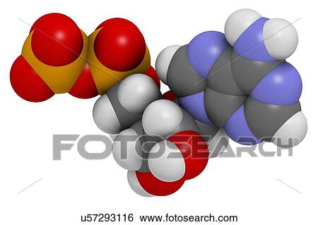 Stock Illustration - Adenosine diphosphate molecule. Fotosearch