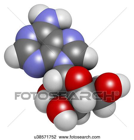 Drawing - Adenosine purine nucleoside molecule. Fotosearch