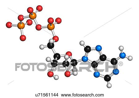Stock Illustration - Adenosine triphosphate molecule. Fotosearch