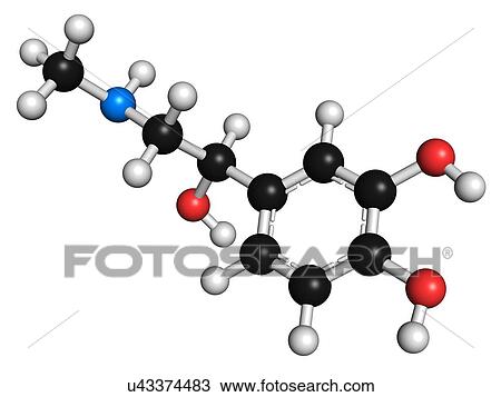 Drawing - Adrenaline neurotransmitter molecule. Fotosearch