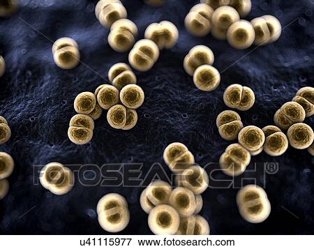 Stock Illustration - Bacteria, illustration. Fotosearch